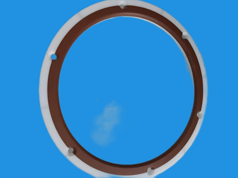vespel ring 8″ (713-028553-002)